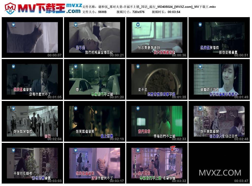 谢和弦_那对夫妻-幸福不上锁_国语_流行_MD405024